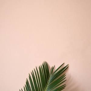 Meet your Posher, Ngu